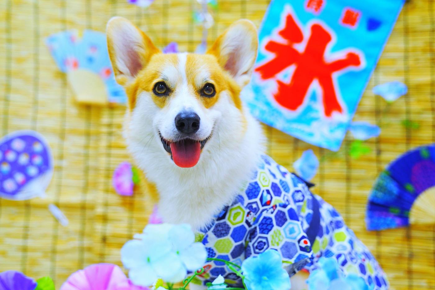 2022年＜東京近郊＞夏休みに犬と一緒に楽しめる注目の観光スポット！ image