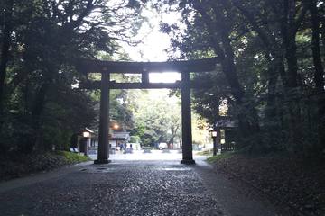 【愛知・尾張】頭脳明晰で学問上達！学業・合格祈願のパワースポット Part2