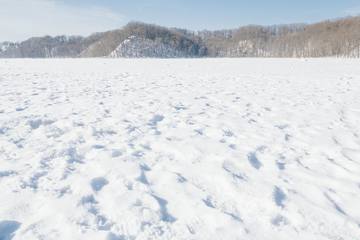 北海道で楽しめる冬のアクティビティ3選