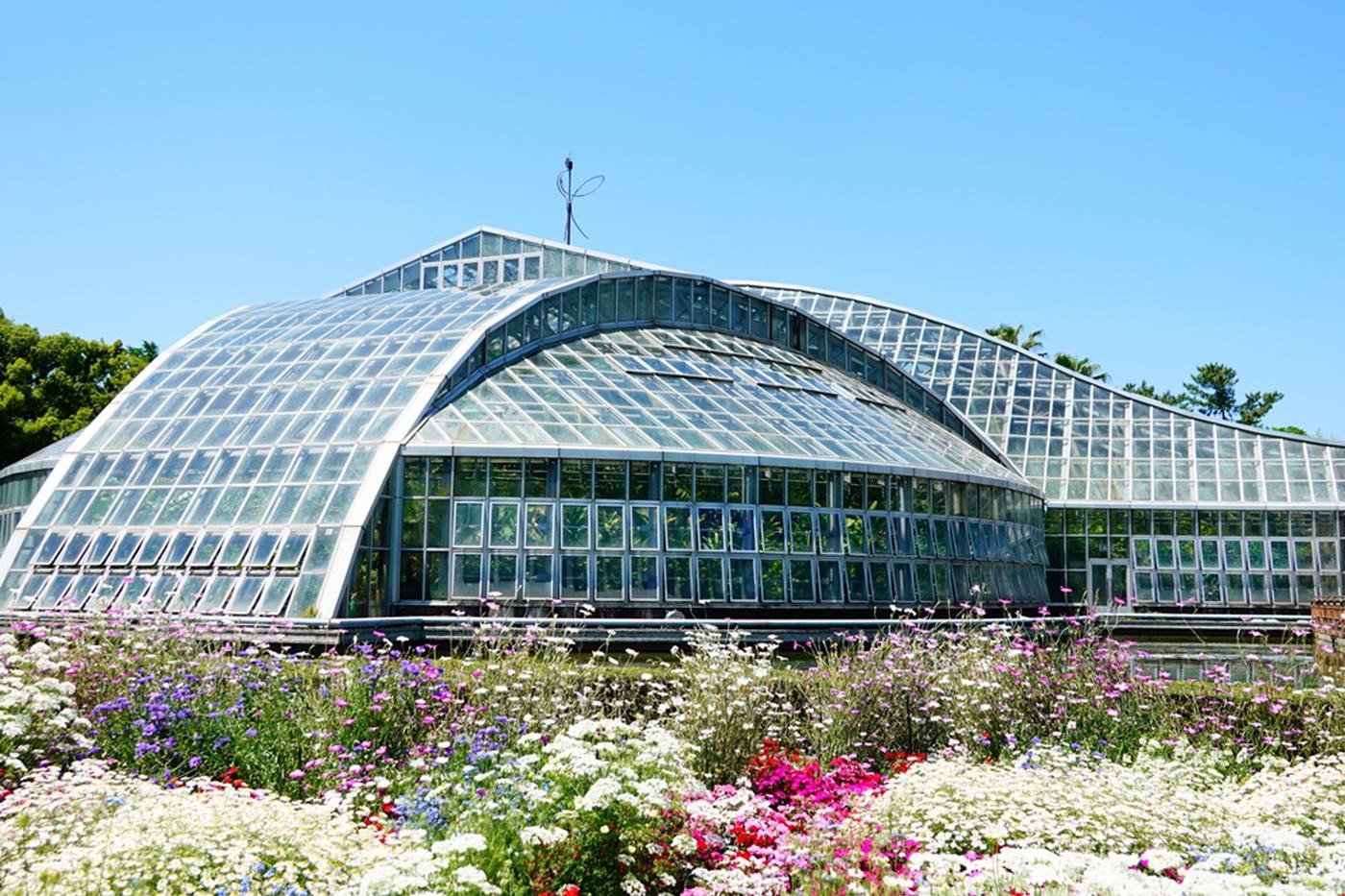 心を解放しに行こう！一度は行ってみたい植物園５選～西日本編～ image