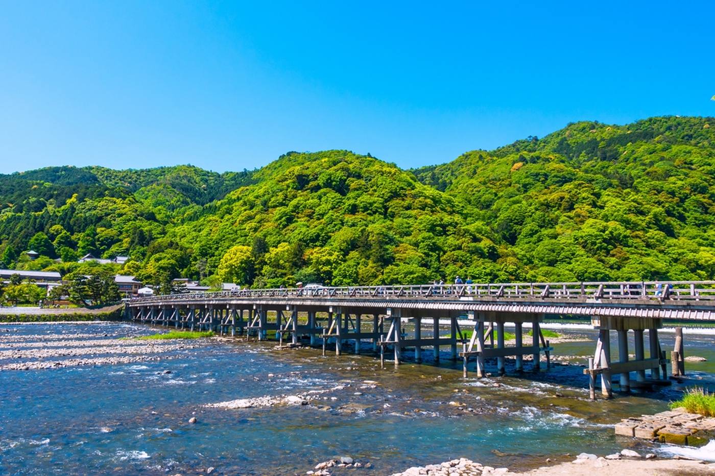 京都に行くなら！口コミの評価が高い人気のツアー・体験を徹底比較 image