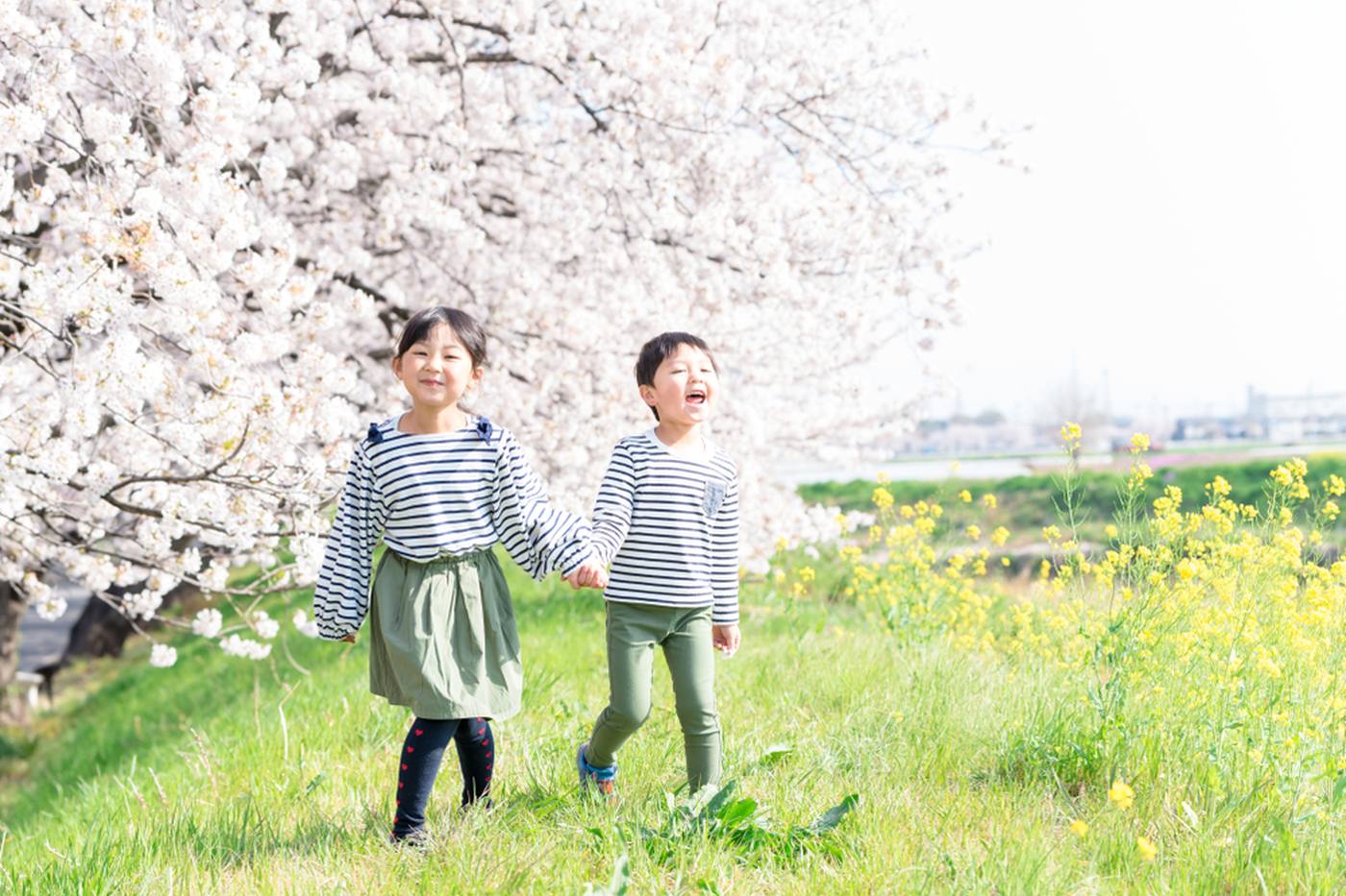 【東京都】桜の名所がたくさん！子連れで楽しむお花見スポット6選 image