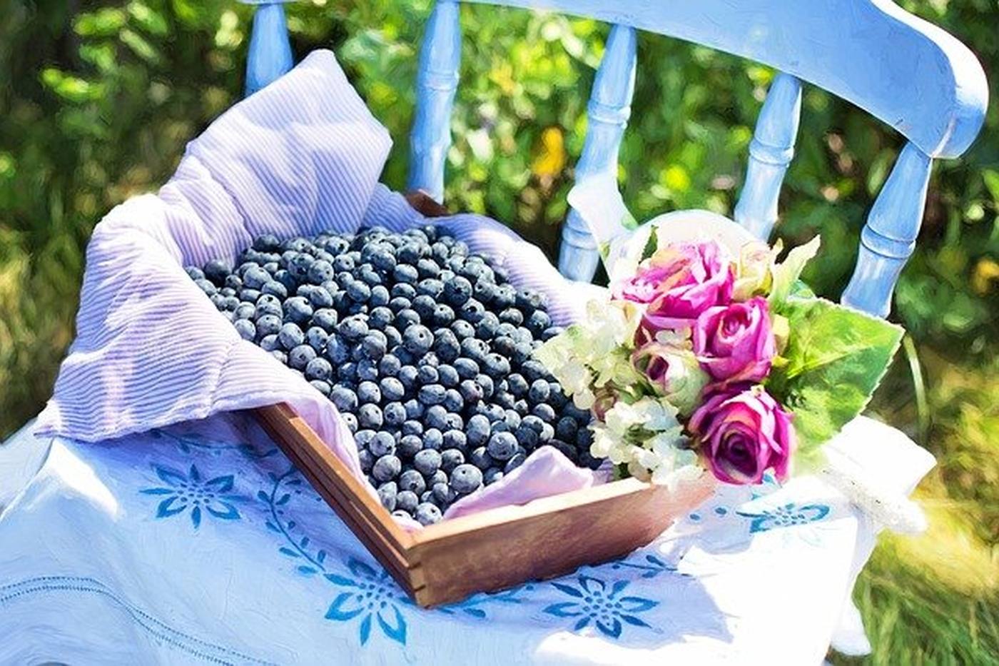 【家庭菜園】果樹好き必見！おいしいブルーベリーを収穫する3つのコツ image