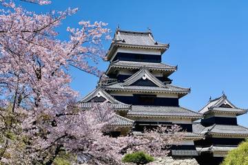 【長野県】これぞ日本の春！国宝松本城と桜の見どころをご紹介
