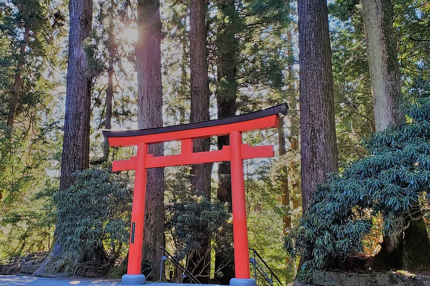 箱根神社トリプル参拝！仕事運急上昇の旅 image