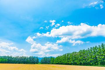 帯広・十勝のおすすめ観光スポット15選！人気の観光ガーデンやグルメスポットをご紹介！