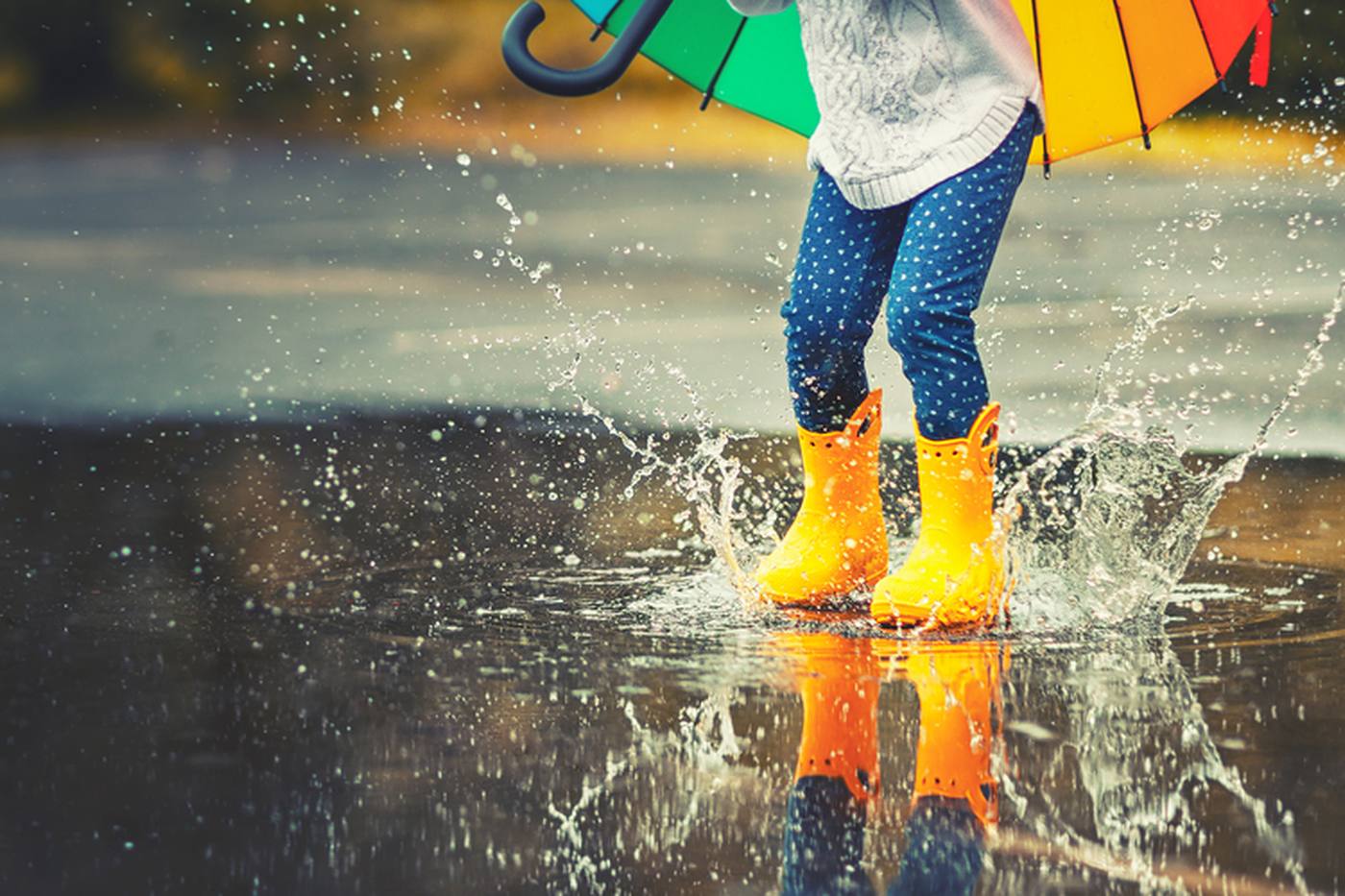 ＜関東＞梅雨でも思いっきり楽しもう！雨の日おすすめおでかけスポット5選 image