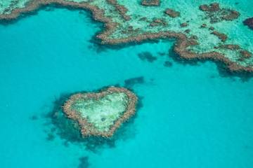 【2023年版オーストラリア】在住者がおすすめ！ダイビングに熱帯雨林散策も♪ ケアンズの観光地21選