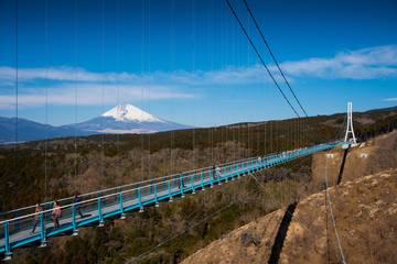 【静岡・伊豆】自然を感じる観光スポット7選＆日帰り温泉2選