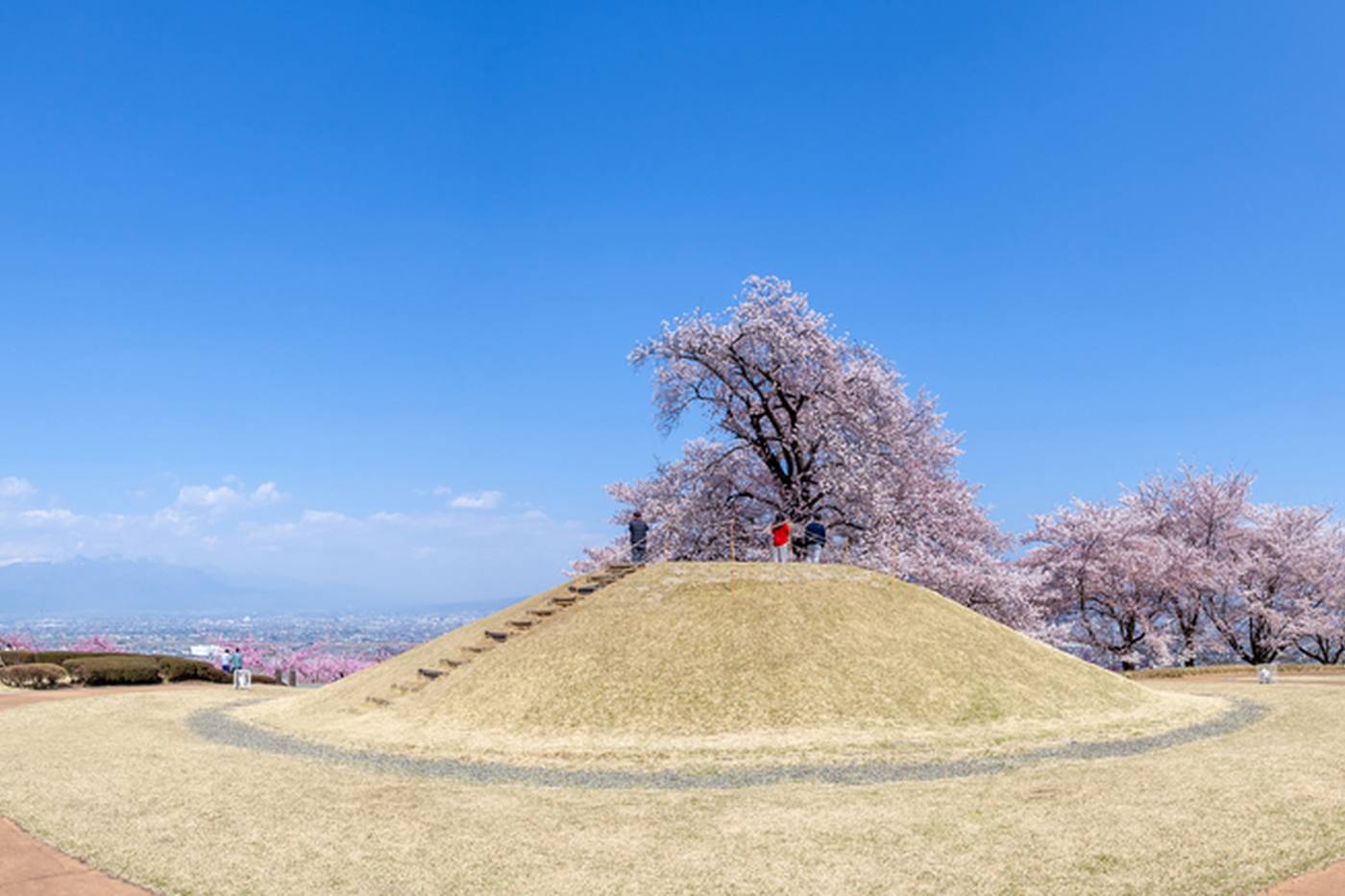 【山梨県】桃源郷のような世界！桃と桜の花が同時に楽しめるスポット2選 image