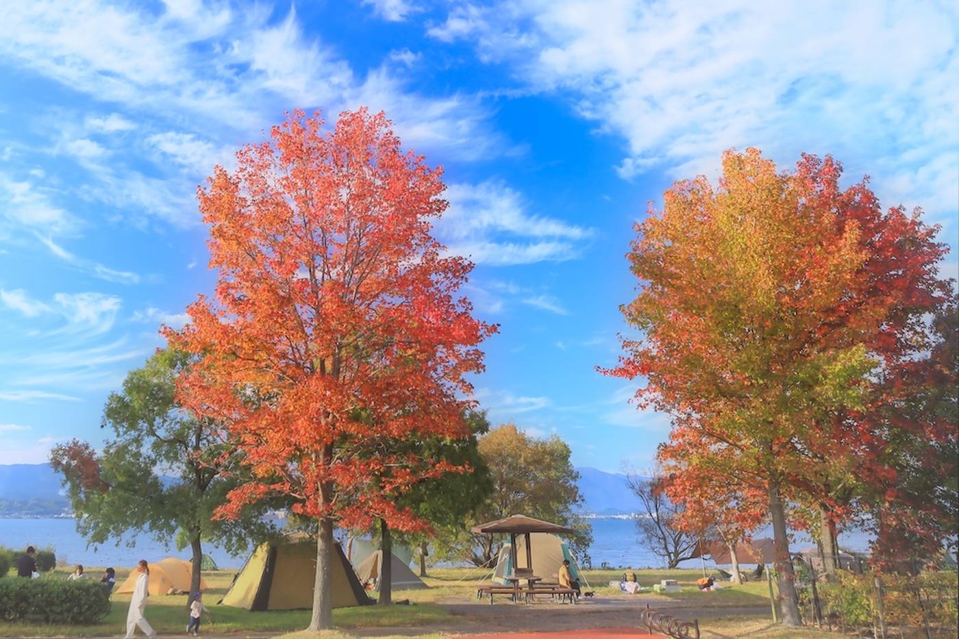 【お役立ち情報】秋こそキャンプを楽しもう！秋キャンプに必要な持ち物と注意点 image