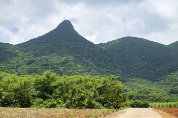 沖縄登山ガイド｜絶景と出会うおすすめコースと登山の魅力