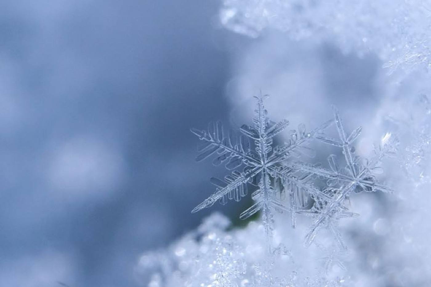 【北海道・トマム】冬の夜だけのお楽しみ！幻想的な氷の街「アイスヴィレッジ」を徹底解説！ image