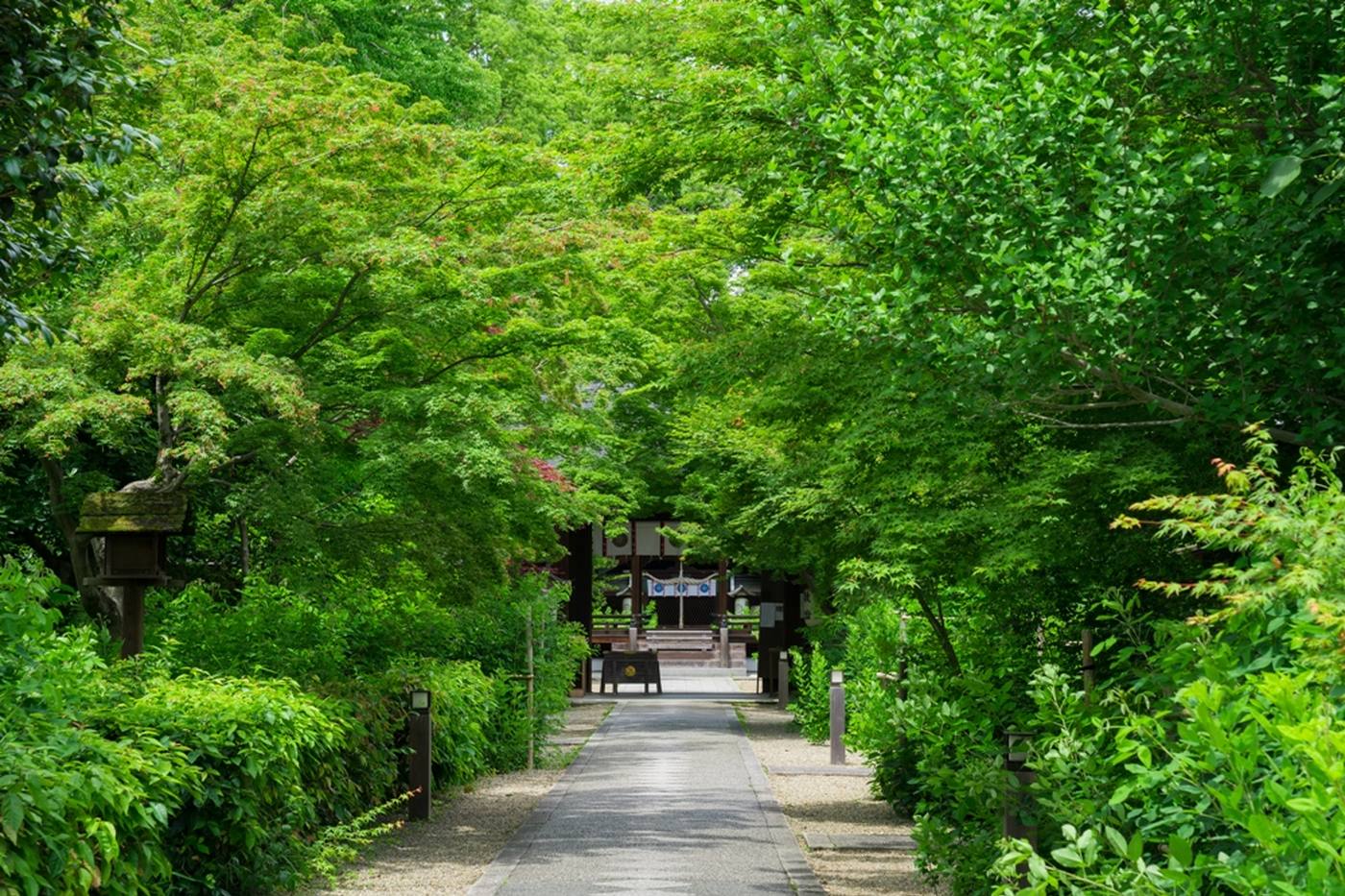 混雑を避けて京都観光を楽しむ！新緑の季節におすすめの穴場スポット5選 image