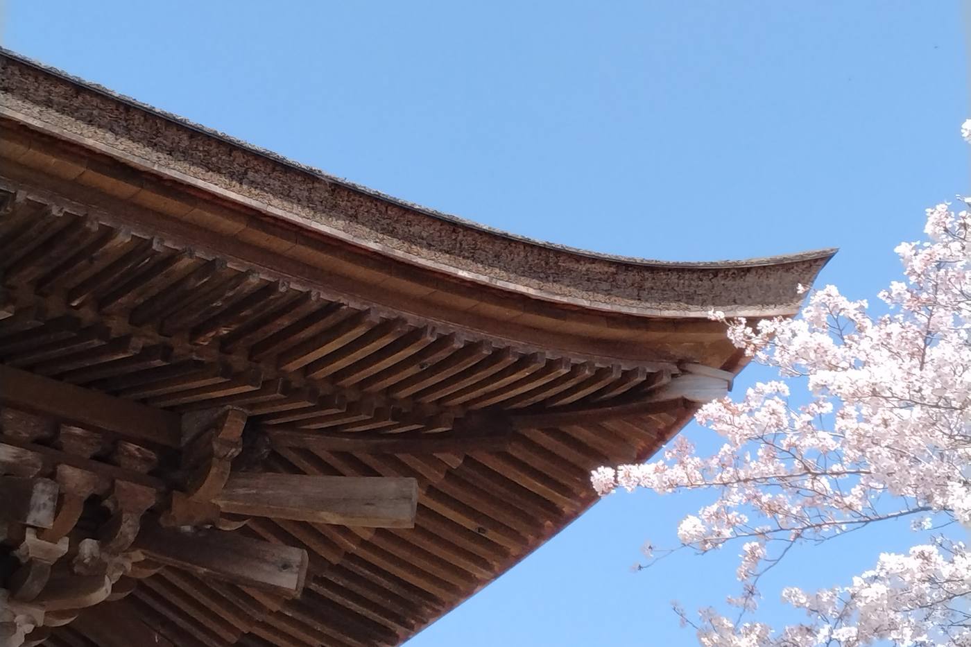 四国・香川県の名刹「本山寺」で国宝を旅する～木造の美しさに魅せられる～ image