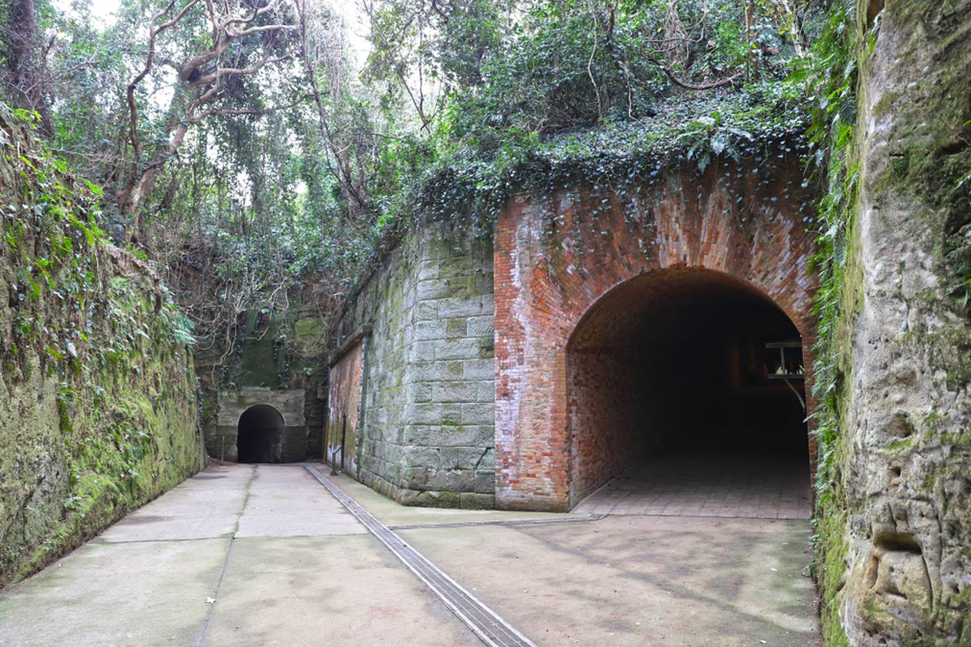 【神奈川】春休みにオススメ！ 横須賀グルメと離島・猿島を日帰りで楽しもう image