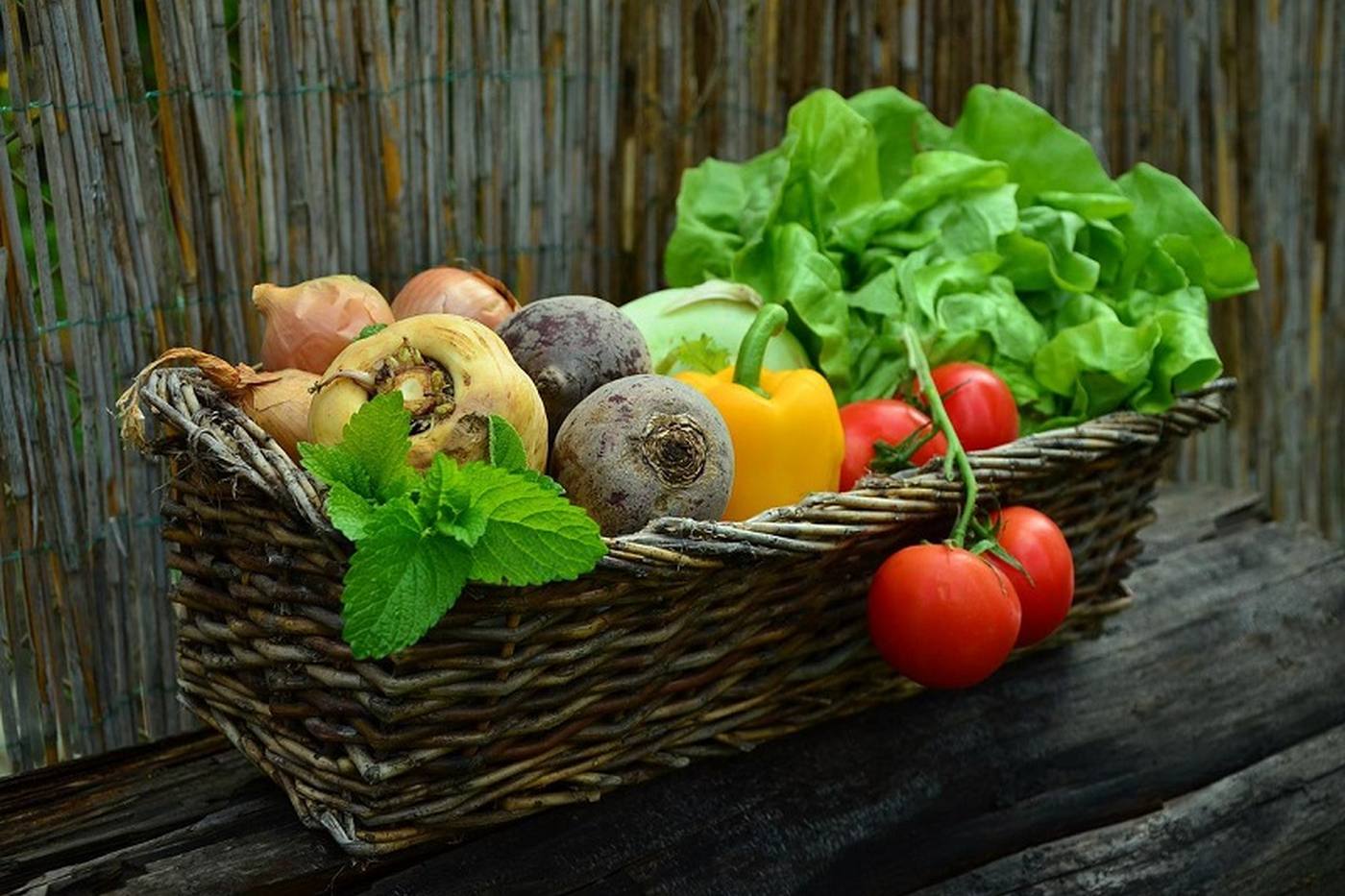 家庭菜園｜野菜にも相性あり！畑のレイアウトを考えよう image