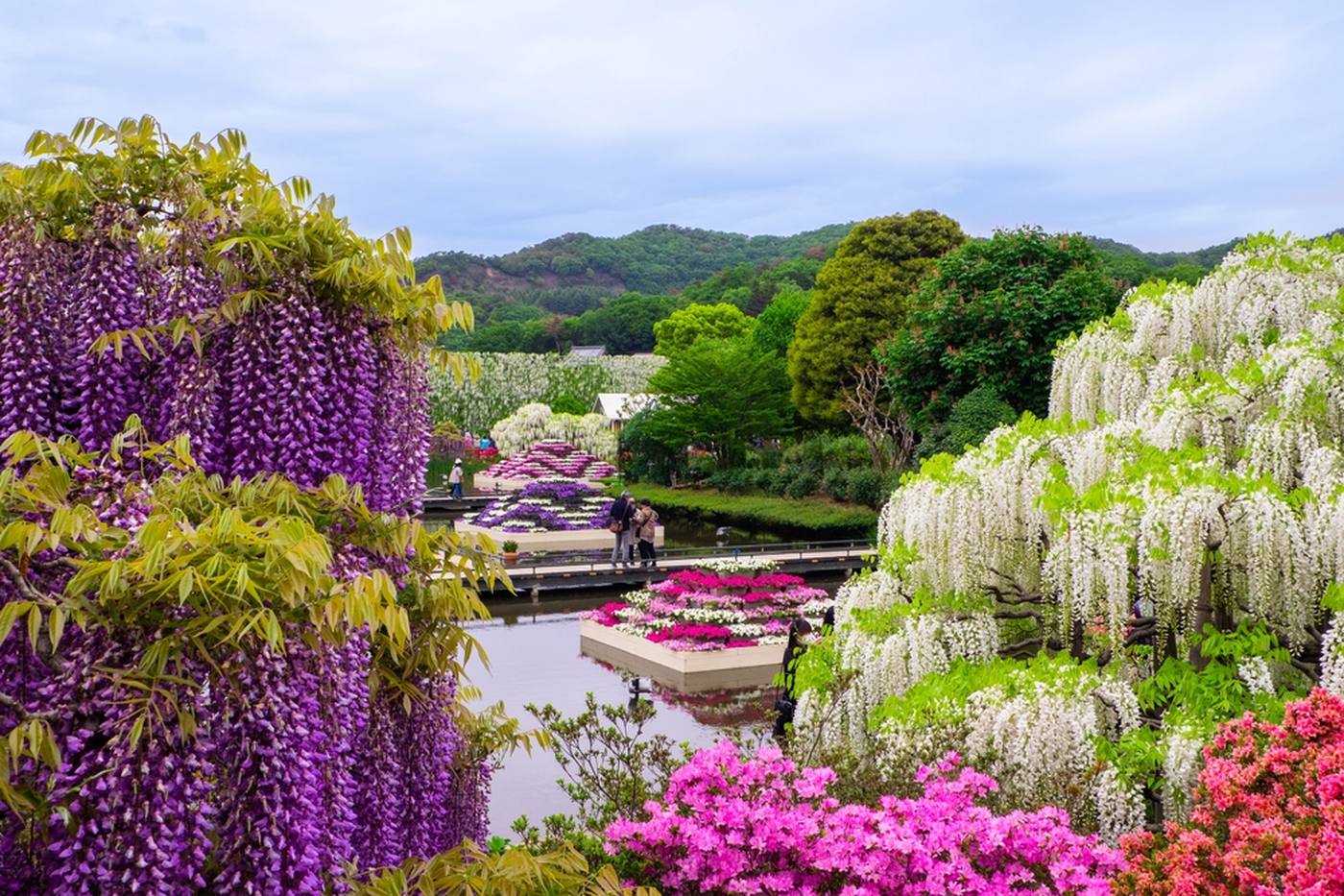 【ドライブデートに最適】栃木県佐野・足利エリアのおすすめスポット3選 image