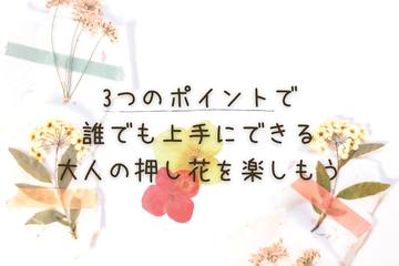 【ハンドメイド】3つのポイントで誰でも上手にできる！大人の押し花を楽しもう♪