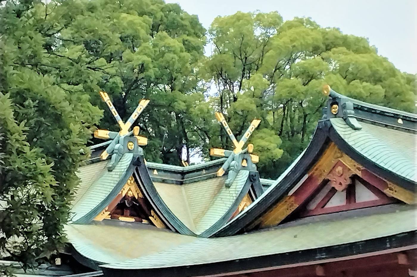 厳しい環境を耐え抜いた北の大地のパワースポット・北海道神宮 image