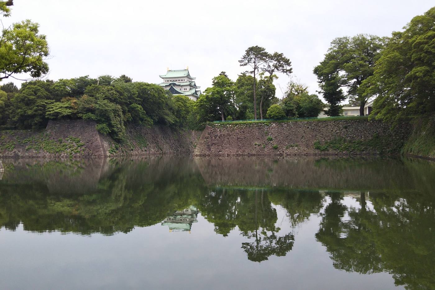 【愛知】尾張名古屋は城でもつ！名古屋城の魅力を紹介 image