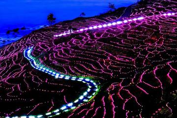 【2022年】まさに田んぼの宝石箱！ギネス認定の輪島・白米千枚田イルミネーションイベント「あぜのきらめき」とは？