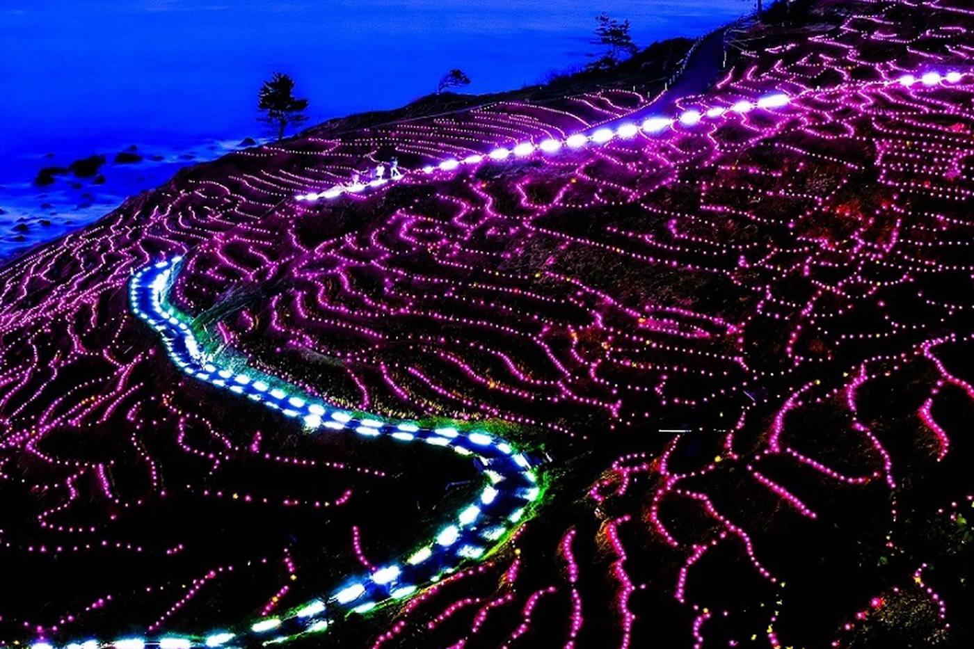 【2022年】まさに田んぼの宝石箱！ギネス認定の輪島・白米千枚田イルミネーションイベント「あぜのきらめき」とは？ image