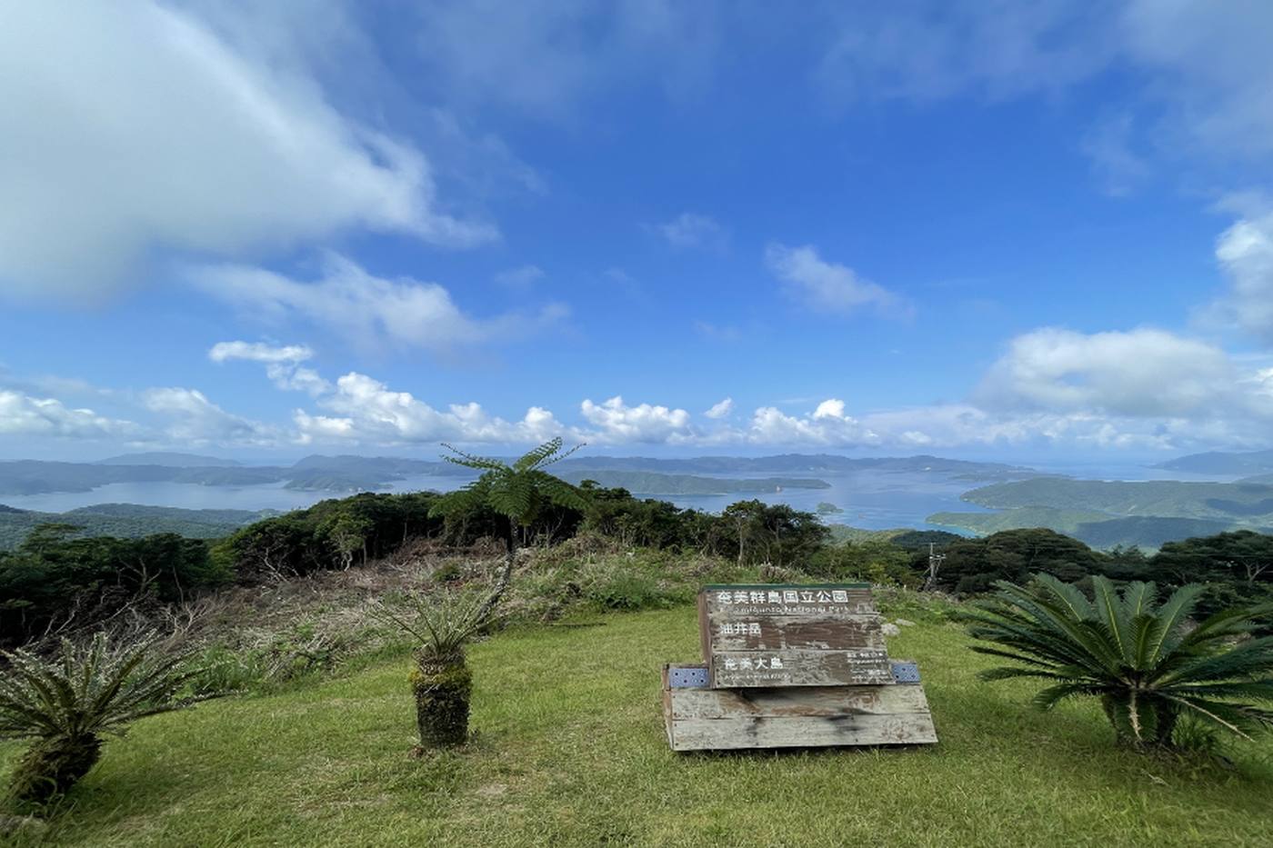 本島では出会えない感動体験を！離島・奄美大島の魅力7選 image