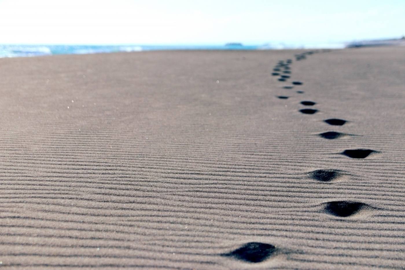 【日本三大砂丘の1つ】まるで砂漠の中？浜松の中田島砂丘でしたい6つのこと＜静岡＞ image