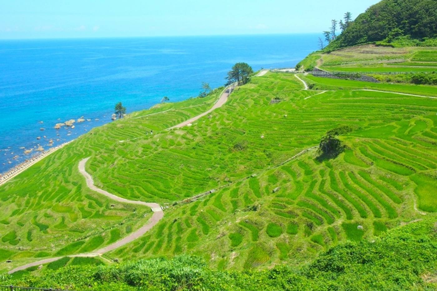 【能登半島】初夏の奥能登海岸ドライブ！おすすめスポット13選＜石川＞ image