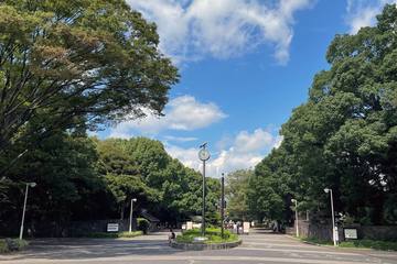 東京ランニングコース Navi.1 ～代々木公園　都会の中心でクロカンを楽しむ！