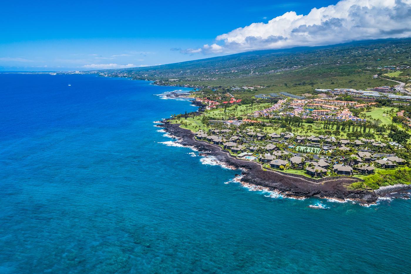 ハワイ島・コナの観光情報│ハワイらしい気候が魅力のコーヒー名産地 image