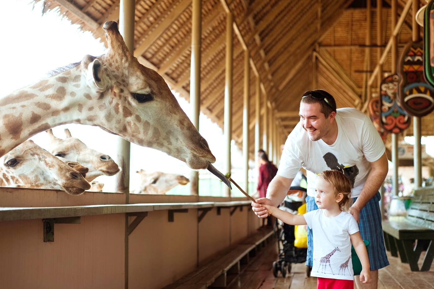 バンコクのおすすめ動物園は？象、トラ、ワニと直接ふれあう！ image