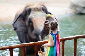 シンガポール動物園の楽しみ方！野生動物を間近で見られる4つの施設