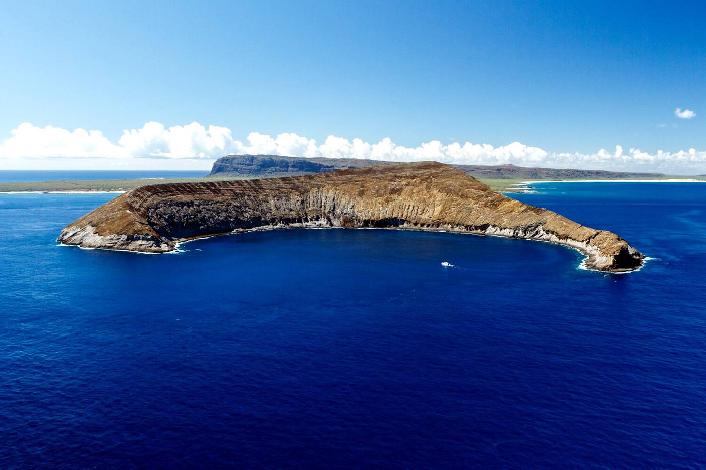 禁断の島「ニイハウ島」とは？見どころと観光時の注意点 image