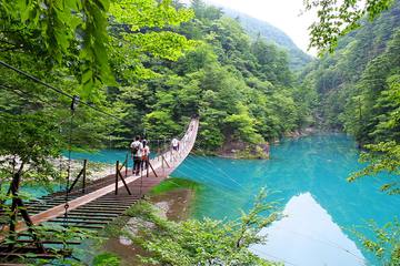 静岡の絶景スポット「夢の吊橋」とは？アクセス方法からモデルコースまで徹底解説