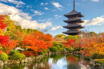 世界遺産「東寺」に行こう！見どころや基礎情報、観光ルート完全解説