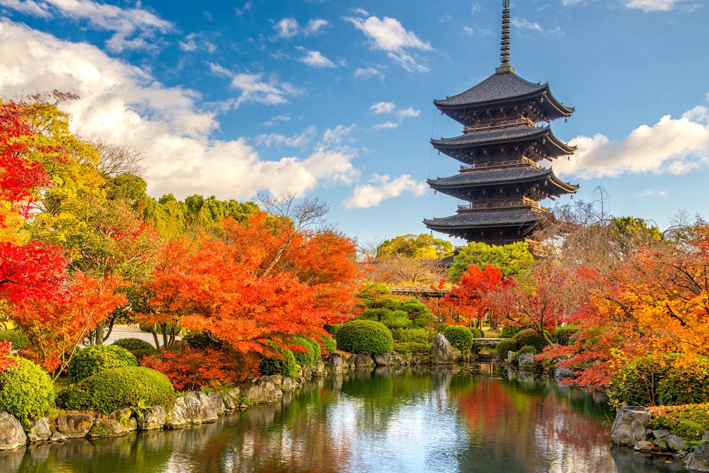 世界遺産「東寺」に行こう！見どころや基礎情報、観光ルート完全解説 image