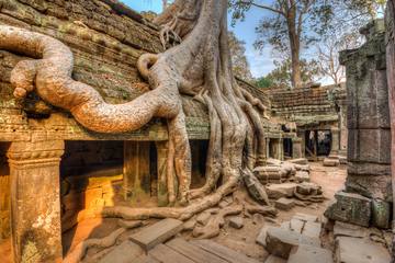 カンボジアの世界遺産タ・プロームの魅力｜歴史や周辺スポットも紹介
