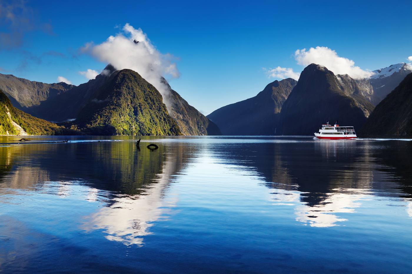 ニュージーランド｜息をのむ地球のいぶきと観光スポットの紹介 image