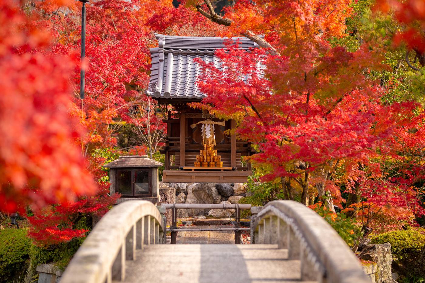 11月の京都は紅葉が見頃！おすすめ紅葉スポットから秋の味覚まで徹底解説 image