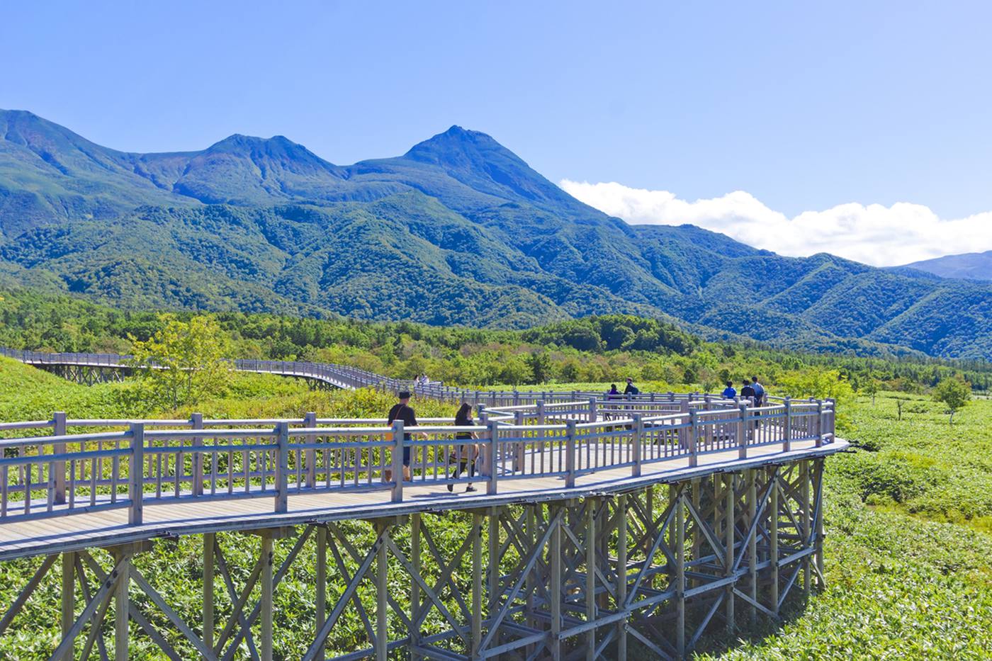 北海道で子どもと参加できる自然体験4選！年齢で選べるおすすめ日帰りツアー image