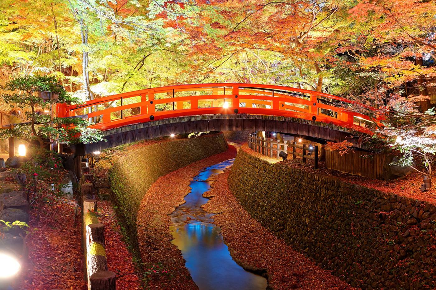 京都は12月も紅葉が楽しめる！12月のおすすめスポット＆イベント image