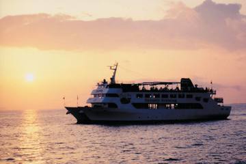 船上から沖縄の海を満喫！沖縄クルーズの魅力とおすすめアクティビティ