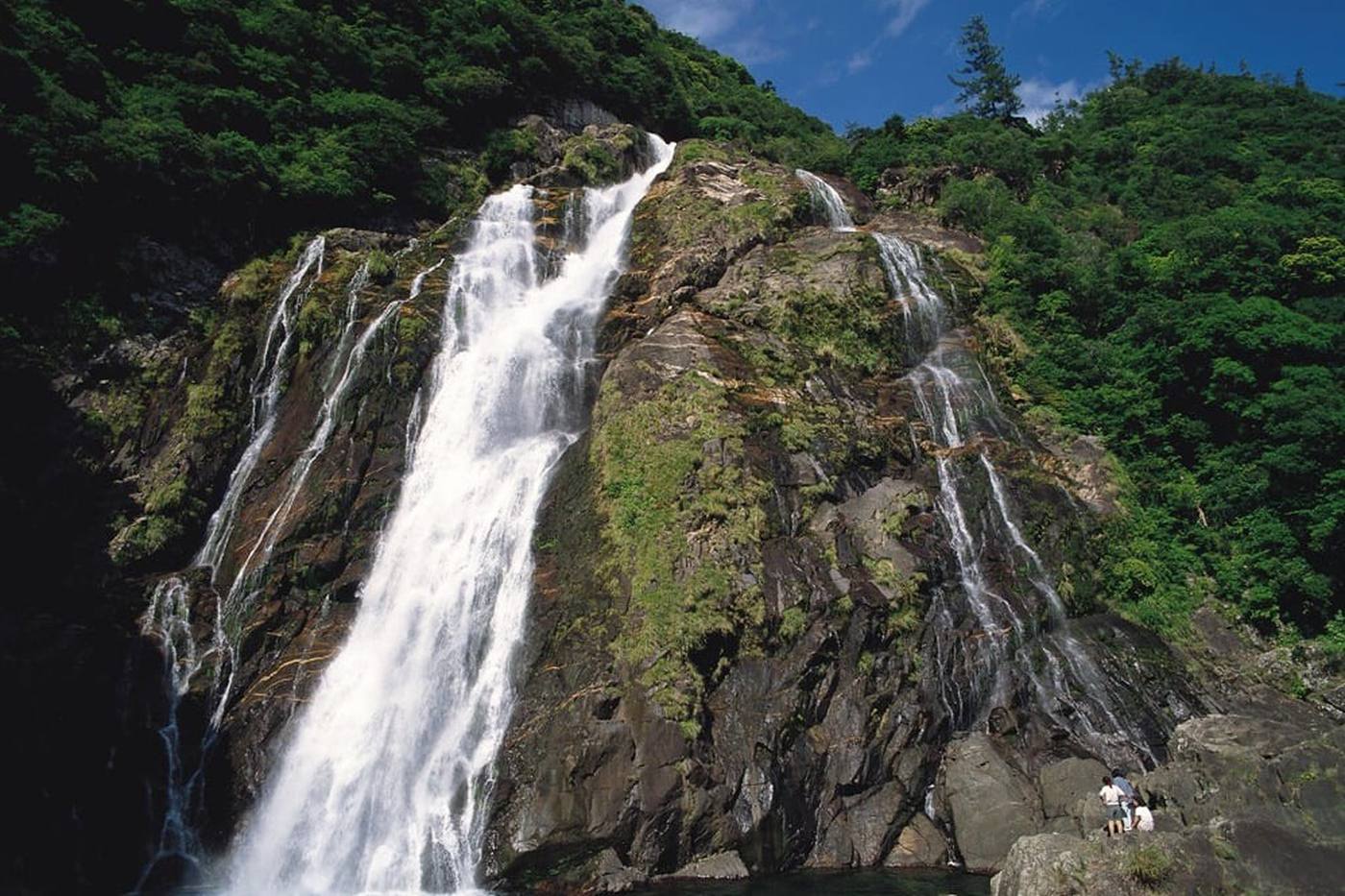 九州イチの落差88メートル！屋久島の大川の滝を見に行こう image