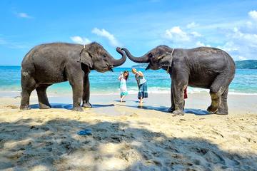 プーケットの象乗り体験が魅力的！象と一緒に海でインスタ映え！