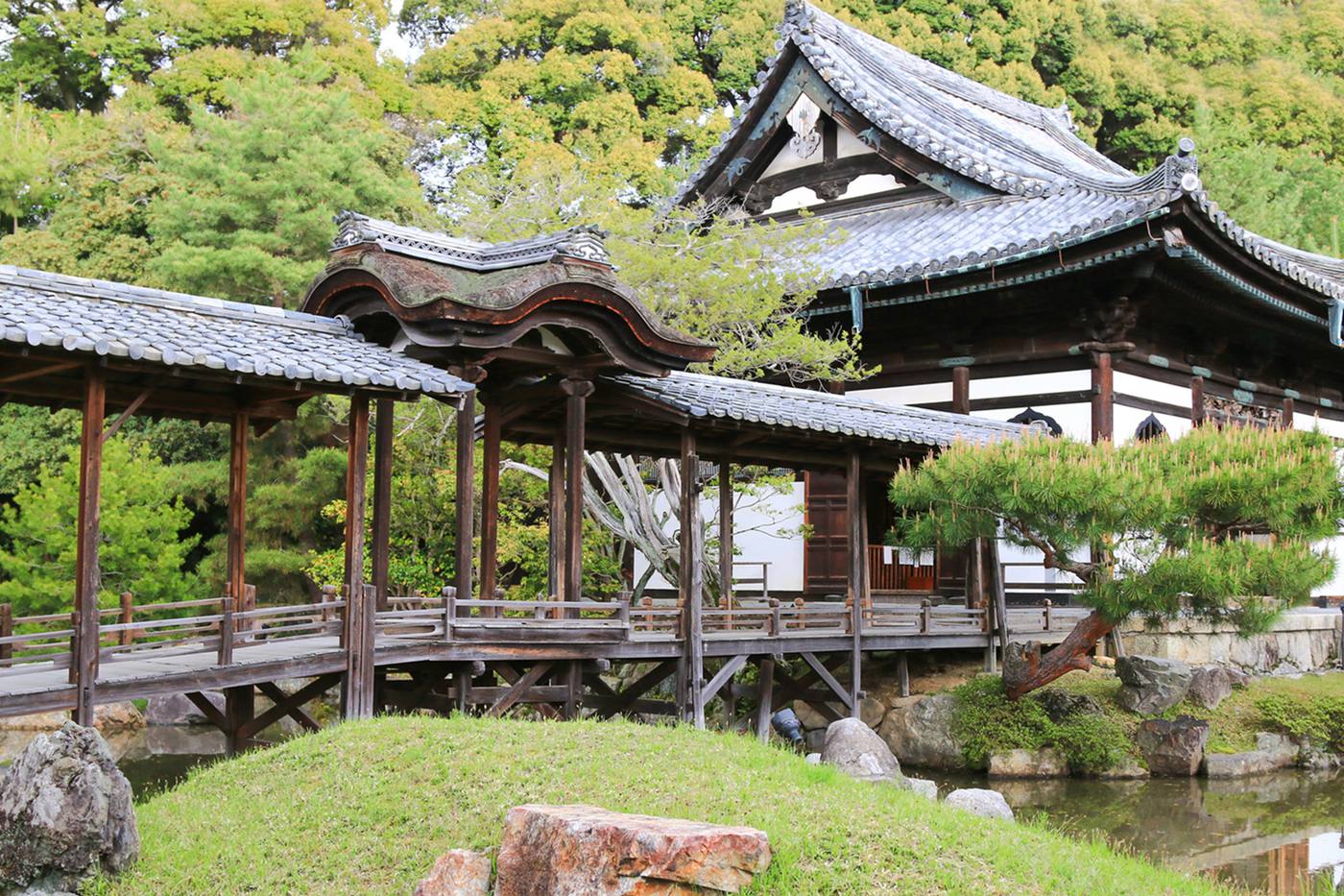 ねねの眠る「高台寺」へ行ってみよう！見どころ完全ガイド image