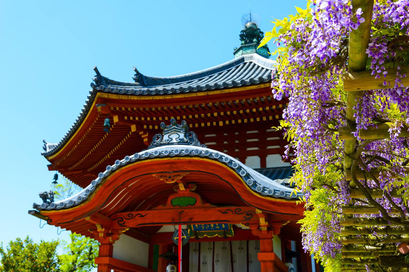 興福寺｜古都奈良の御堂と仏像を巡る寺 image