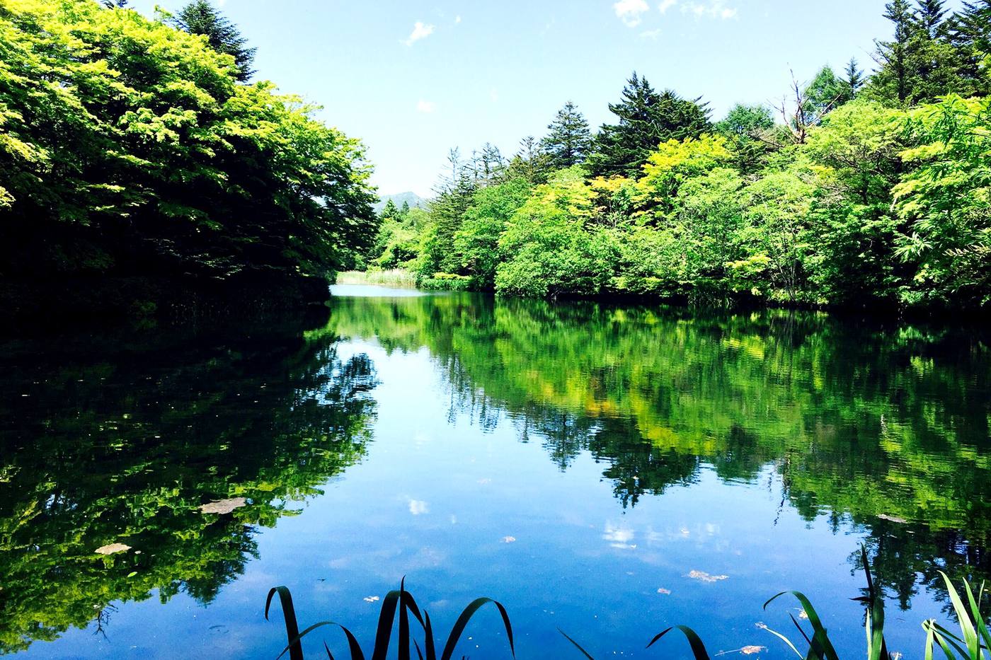 東京発！半日・日帰りで楽しむ関東近郊おでかけプラン｜グルメや温泉、買い物を満喫 image