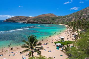 12月にハワイに行っても大丈夫？気候、服装、イベント情報